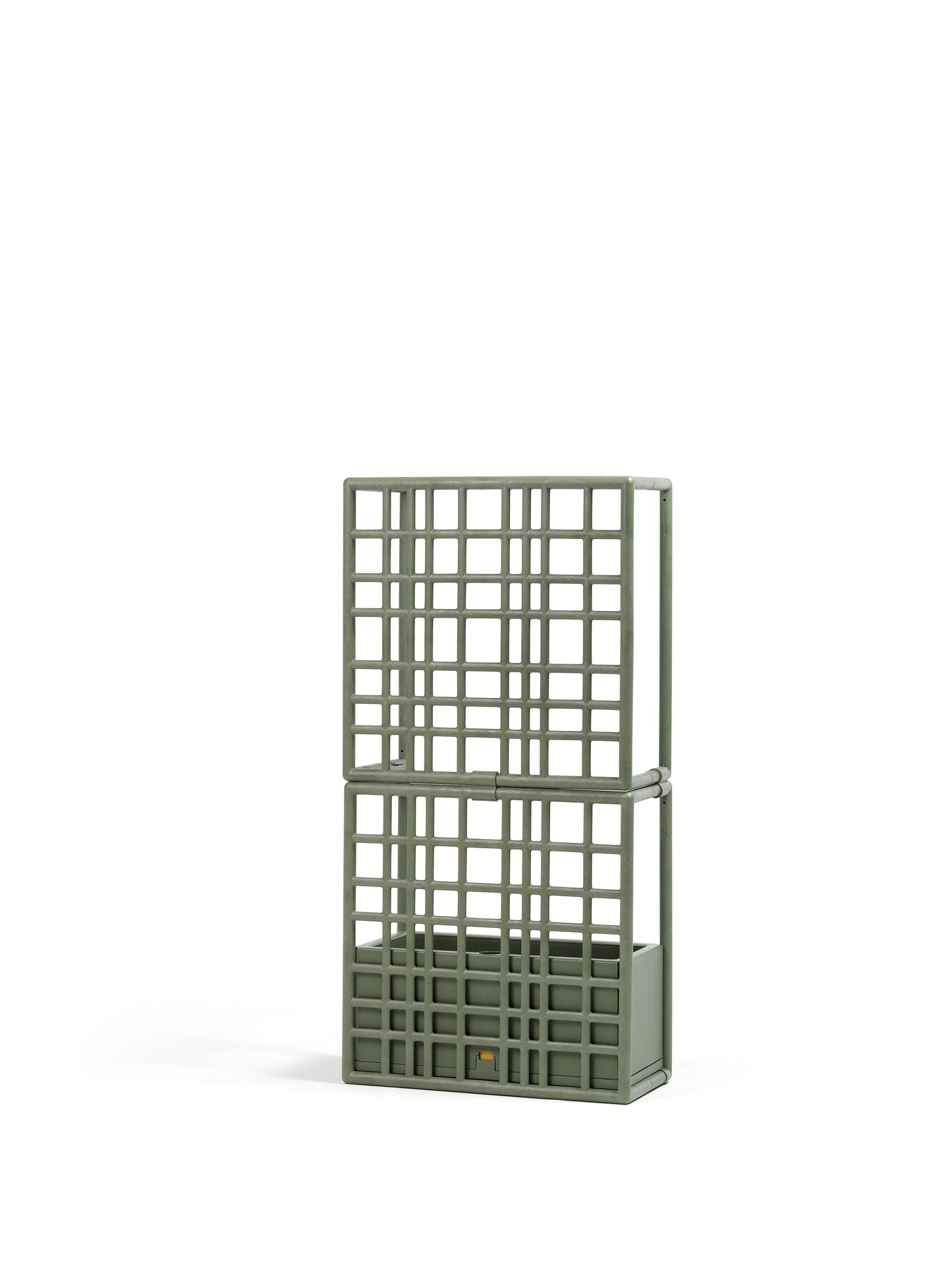 Sipario 2 – cactus