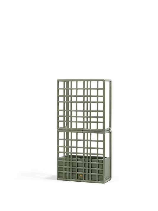 Sipario 2 – cactus